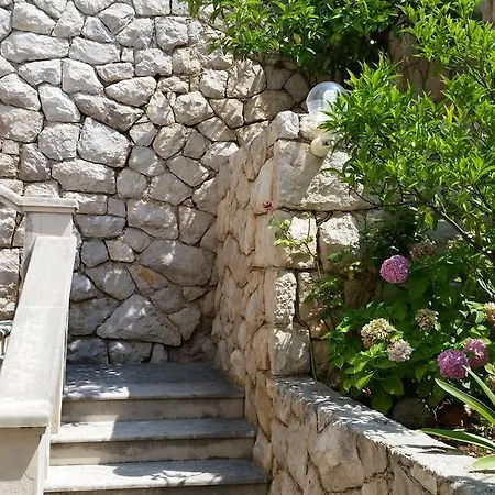Bilos Guest house 3*